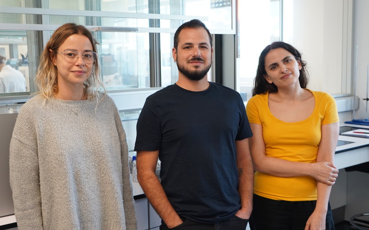 BCMaterials's tweet image. Welcome to our new post-doctoral researchers Paola Cromomo, Francisco Peralta and Daiana Cabrosi!!
They will work on the Advanced Functional Materials and Surfaces, Active and Smart Materials, and Micro and Nano-Structured Materials research lines. #MaterialScience