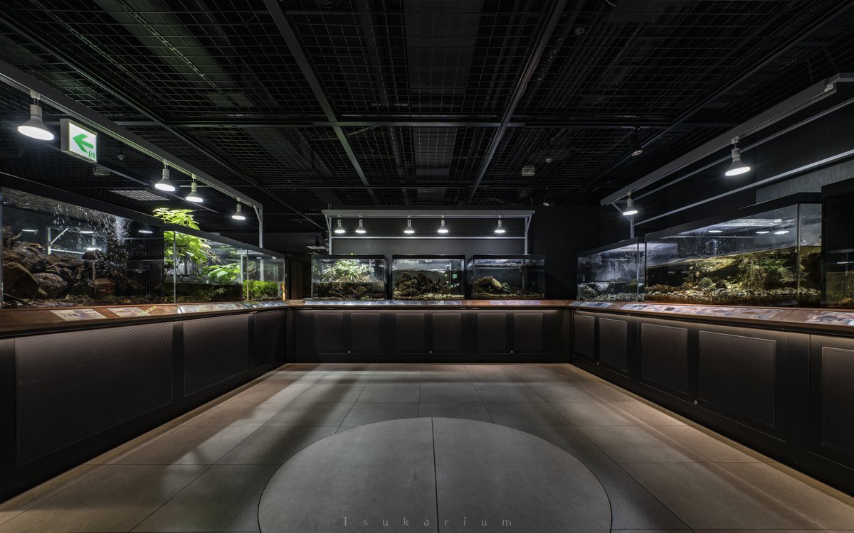 tsukarium's tweet image. 紫川沿いの地下にある北九州市水環境館
館内には紫川の解説や河川観察窓(1枚目)、作り込まれた水槽展示などが立ち並ぶ
ふらっと立ち寄ったのに楽しくて気付けば2時間ほどガッツリ撮影していた
そして無料って知らなかったから入館する時びっくりしちゃった