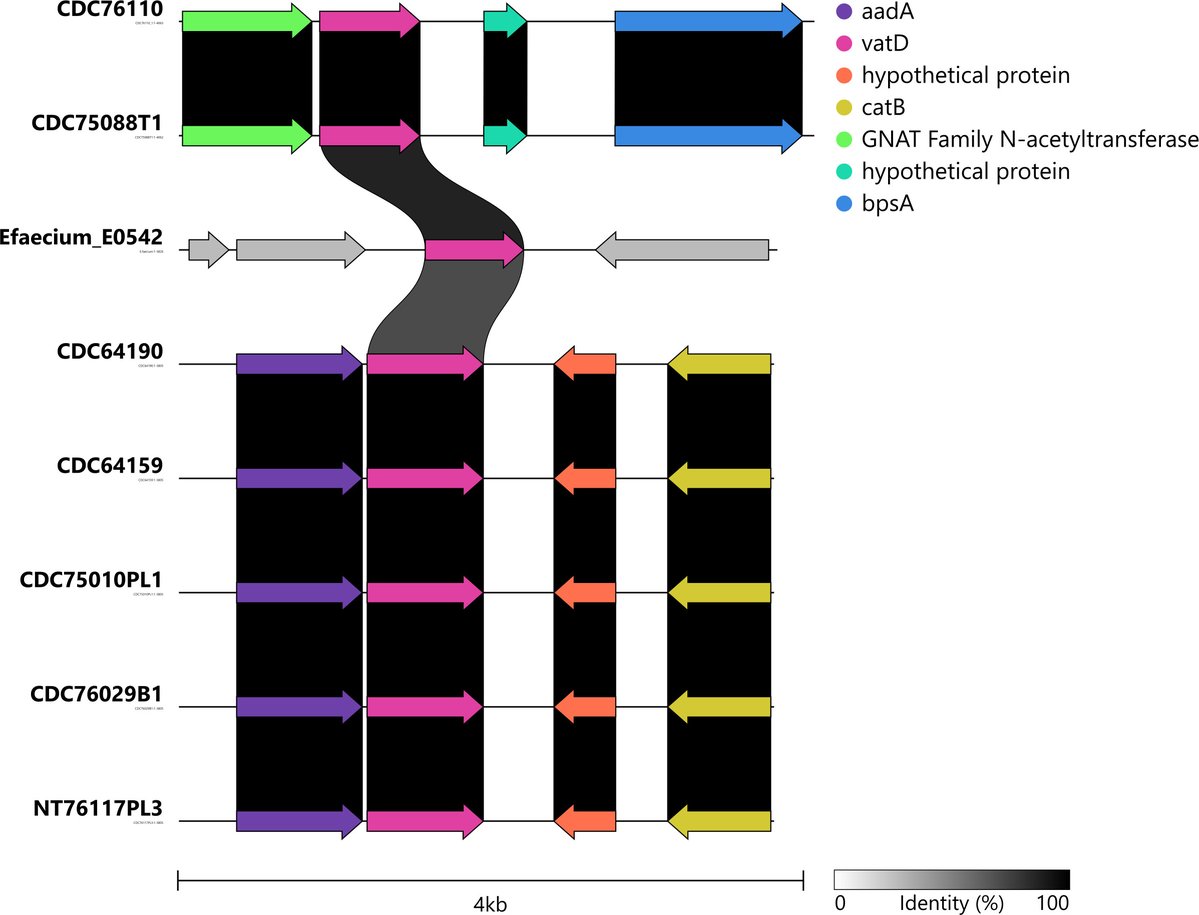 AppEnvMicro's tweet image. New in #AppEnvMicro: Kruemmel et al. detect a streptogramin A O-acetyltransferase gene (vatD) in the chromosome of C. botulinum isolated from US infants | @CDCgov
Read the article: doi.org/10.1128/aem.00…
