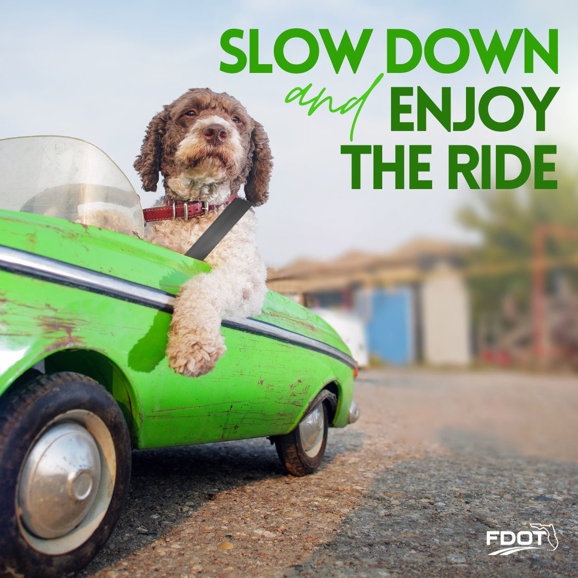 MyFDOT_SWFL's tweet image. When it comes to speeding, things can get ruff. Stay pawsitive and enjoy the ride by focusing on the road ahead. 🐶🌞🚗 #DriveSafe #DriveSmart