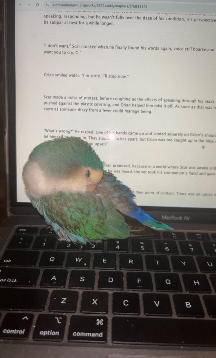 enderlemons's tweet image. bro can you MOVE!!!! Im trying to read my gay fanfiction