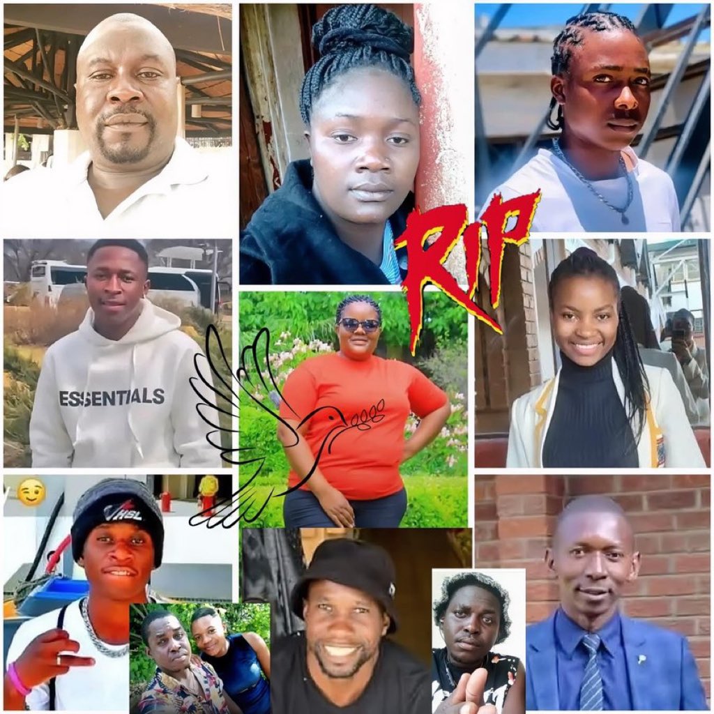 ali_naka's tweet image. They have been promised a “New Zimbabwe” today they are COLD in the mortuary.
