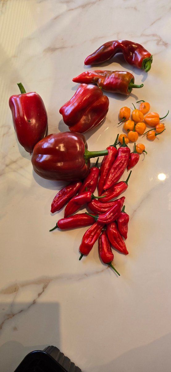 CiruSmith's tweet image. Heat!
