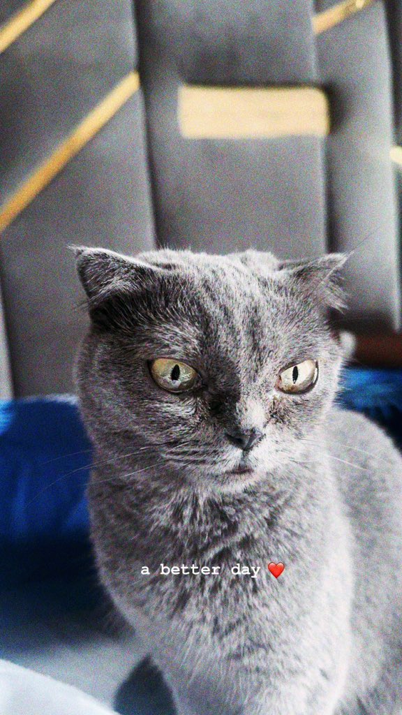 officerwoos's tweet image. Asake says hi😇