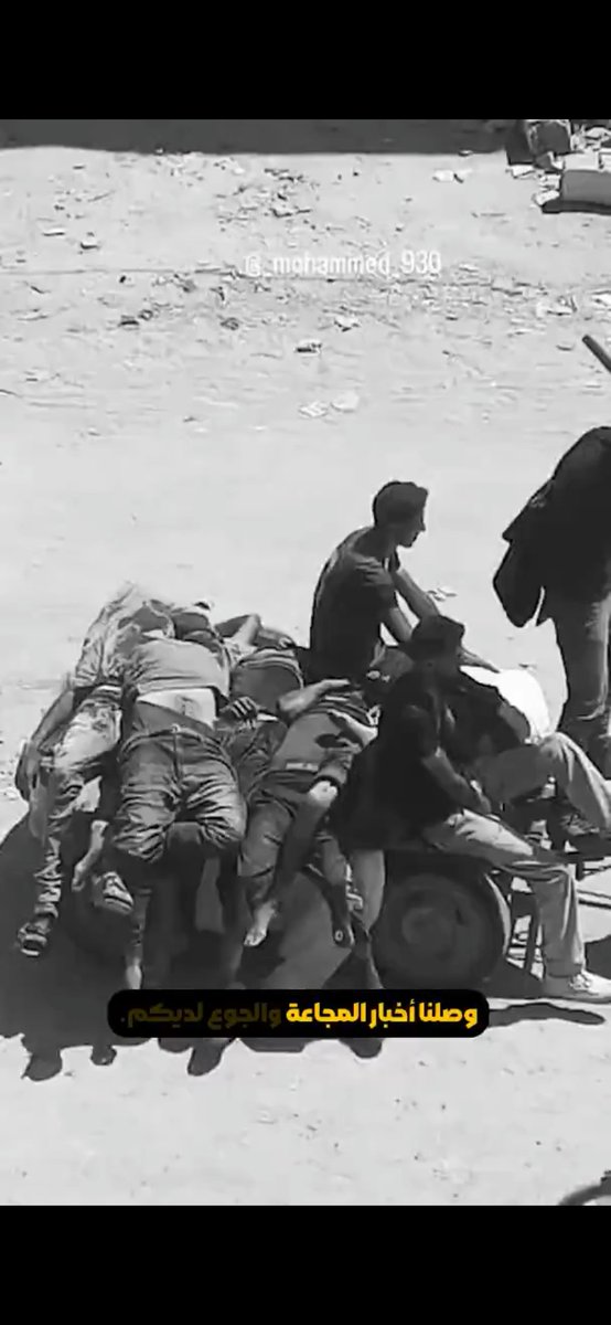 Morti, feriti e vivi insieme su una carretto a Gaza.
Nessuno di loro ha un posto dove stare, presto saranno tutti uguali.
#GazaGenocide‌