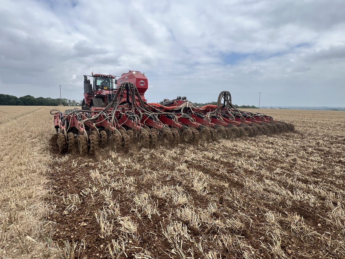 Let the <a href="/GerminalUKAgri/">Germinal UK Agriculture</a> seeds meet the soil 🐑🐏 <a href="/CaseIH_UK_IRE/">Case IH UK & IRE</a> <a href="/SumoUKLTD/">Sumo UK Ltd</a>