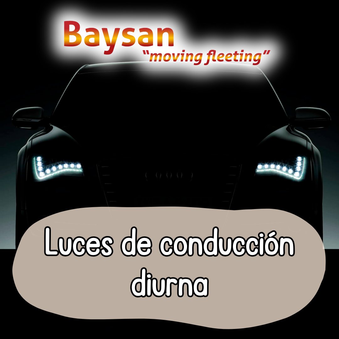 Grupo Baysan tweet media