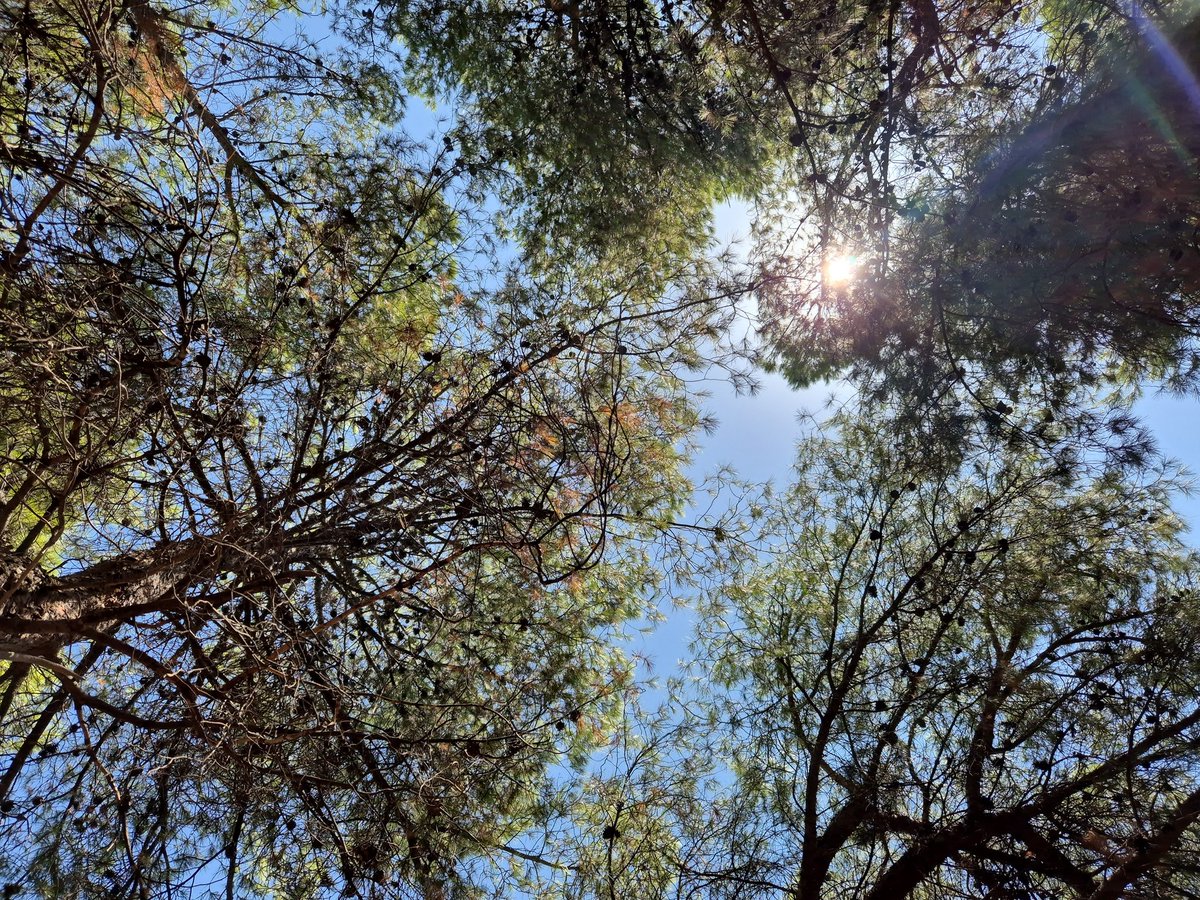 mircooconlac's tweet image. l&apos;attesa del concerto più naturale di sempre
#UltimoStadi2025