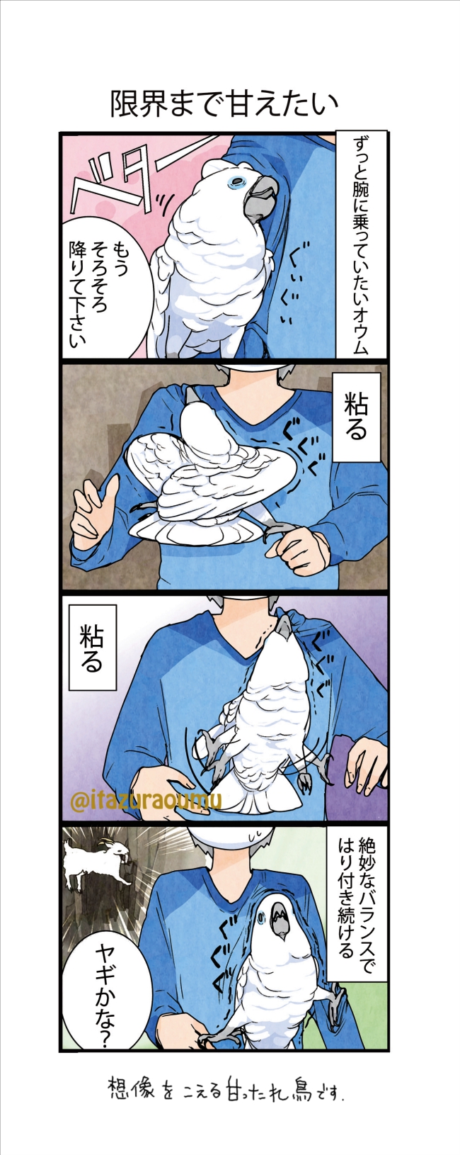 いたずらオウムの生活雑記4冊　&amp; オウムは今日も考えている Amazon.co.jp: いたずらオウムの生活雑記2018 eBook : ろう
