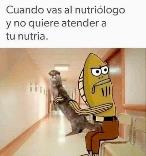 El Meme (@memessv7) on Twitter photo 
