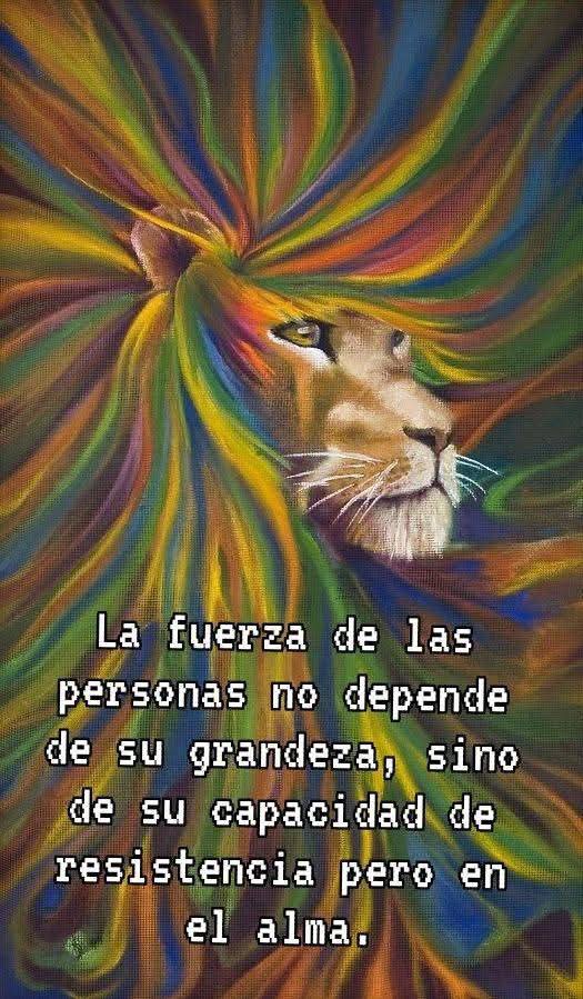 rociomag3's tweet image. #Días Amigos Camaradas Compañeros Compadritos Carnalitos 🥰 y a todos los que tienen a bien saludar por las mañanas y conocer los nombres de los que a la distancia nos saludamos todos los días 🙌😉 GRACIAS 🙏