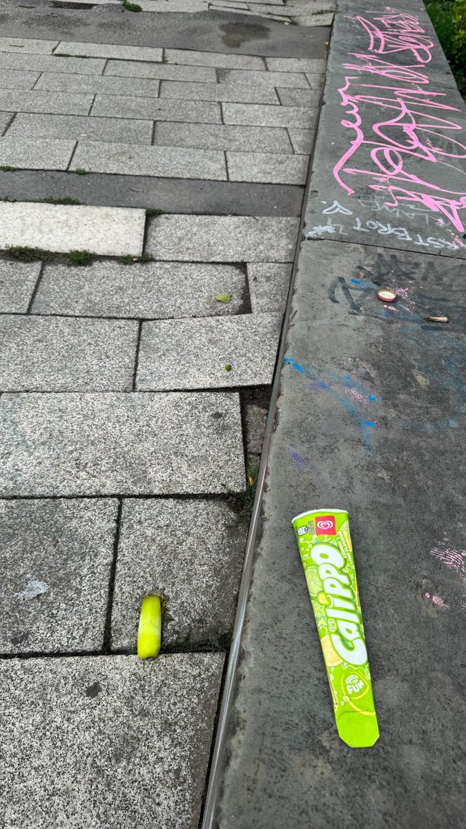 I don’t think the heat is unbearable enough in London to melt down a popsicle as it’s the doing of my very own clumsy hand. I’m sorry I couldn’t save you. 😥