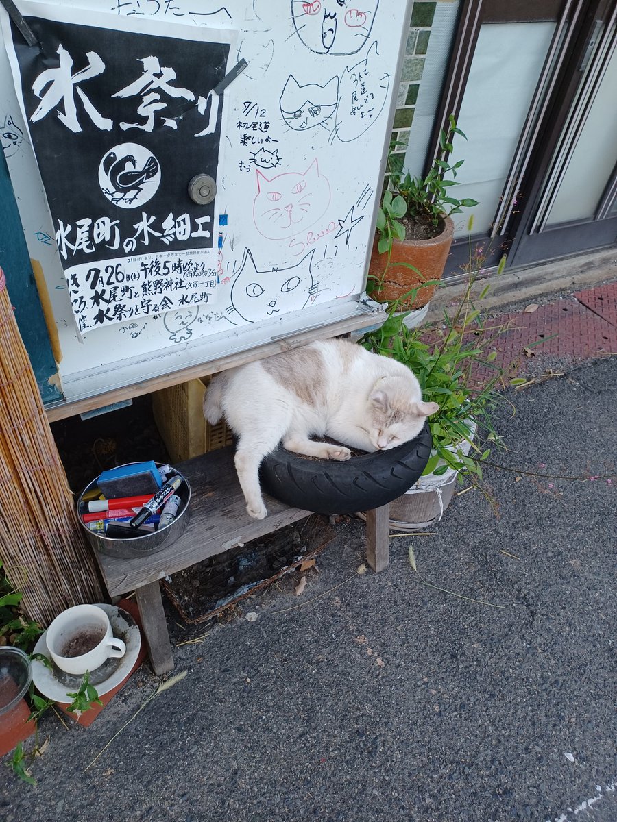 onomichi_keima's tweet image. 今日も一日ありがとうございました😊
明日7月24日木曜日は定休日でお休みです🙇♀️
尾道駅北口側の猫ちゃん
いつも前を通る度に気になってるお店の招き猫ちゃんです
人慣れしてるのでモフり放題✨
水祭りのポスターを貼ってるホワイトボードの寄せ書きも可愛いですね🐱
水祭りは今週26日土曜日です🏮