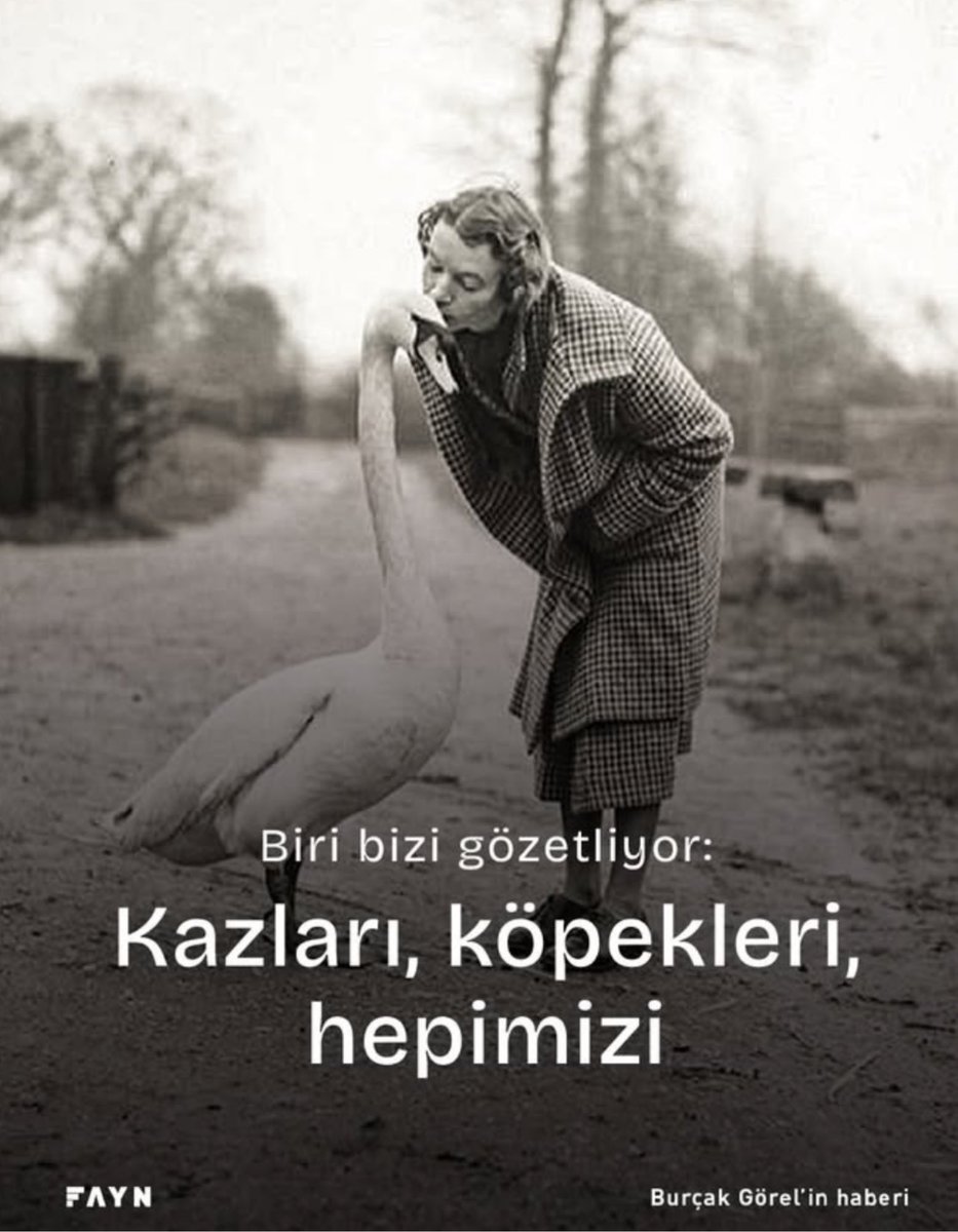 Burçak Görel tweet media