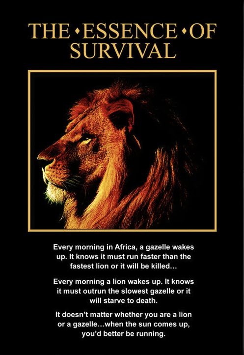 MRittCGS's tweet image. No matter who you are the predator or the prey, success belongs to the one who’s ready to move when the sun rises.