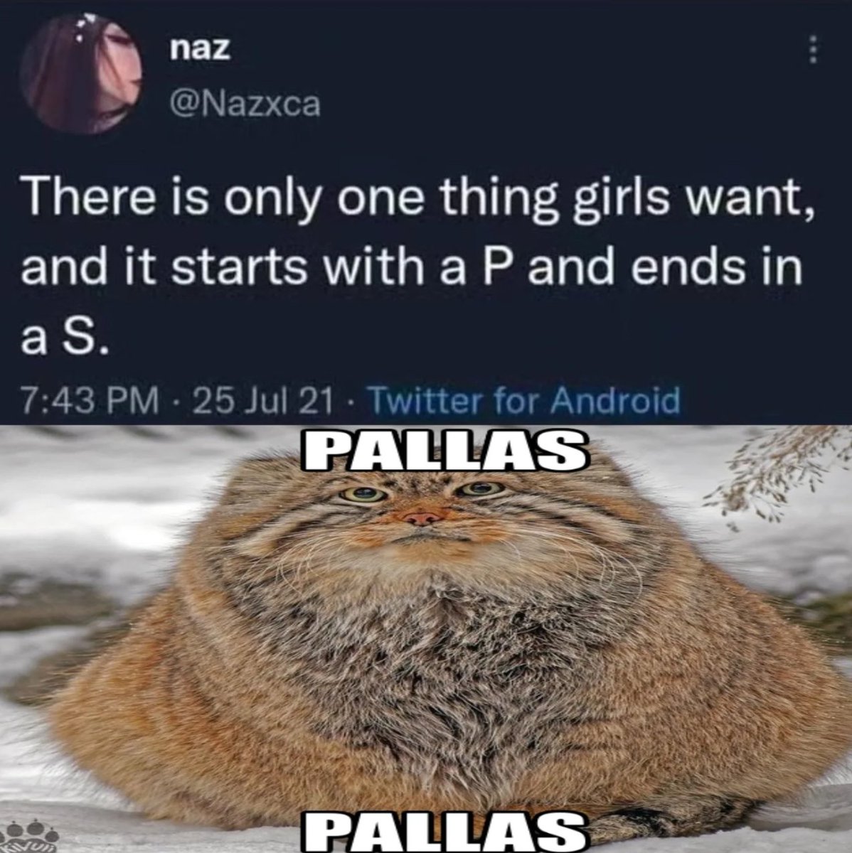 DailyMantle (@dailymantle3) on Twitter photo 