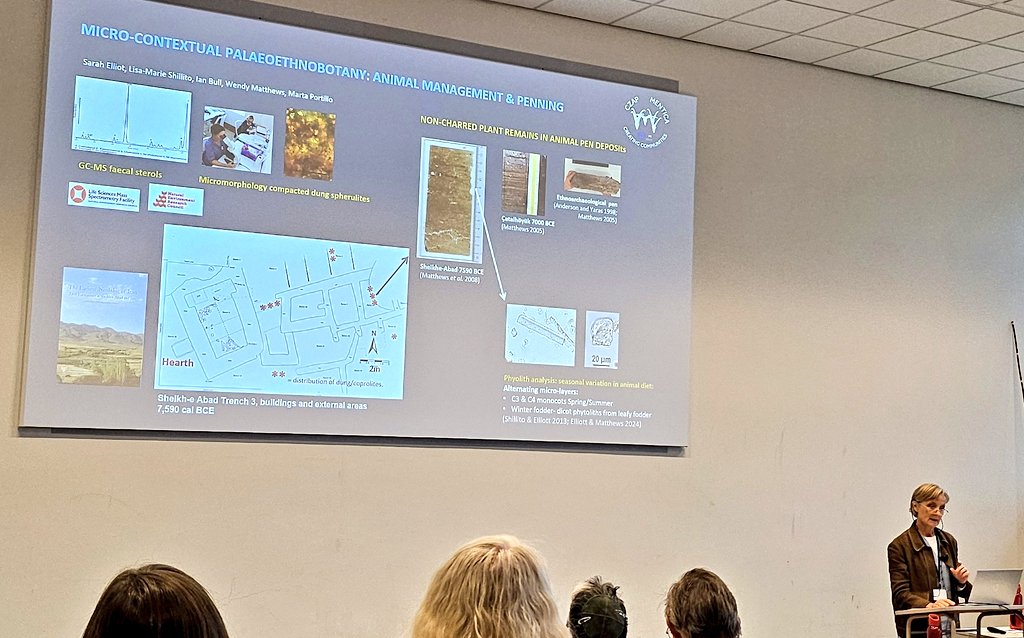 DrJenniferBates's tweet image. Apologies for not posting after coffee - I was chairing! Back now with more methods - #phytoliths, micro-contextualism, preservation experiments in silos and #rice paddy ecologies. #IWGP2025 #Groningen #archaeology #archaeobotany #archaeologicalscience