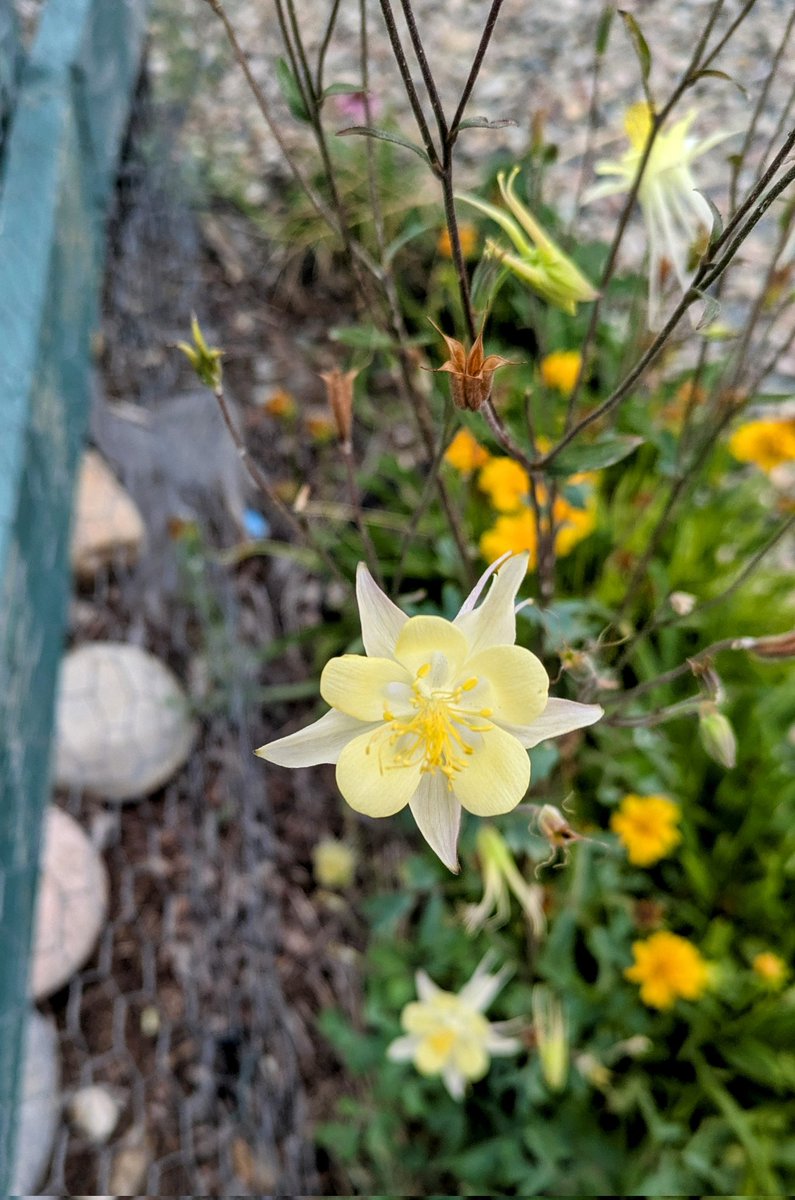 Good morning and happy Wednesday! 🌞 My kids and I are leaving for a hike soon with a homeschool group we are in. What are you up to today? 😊