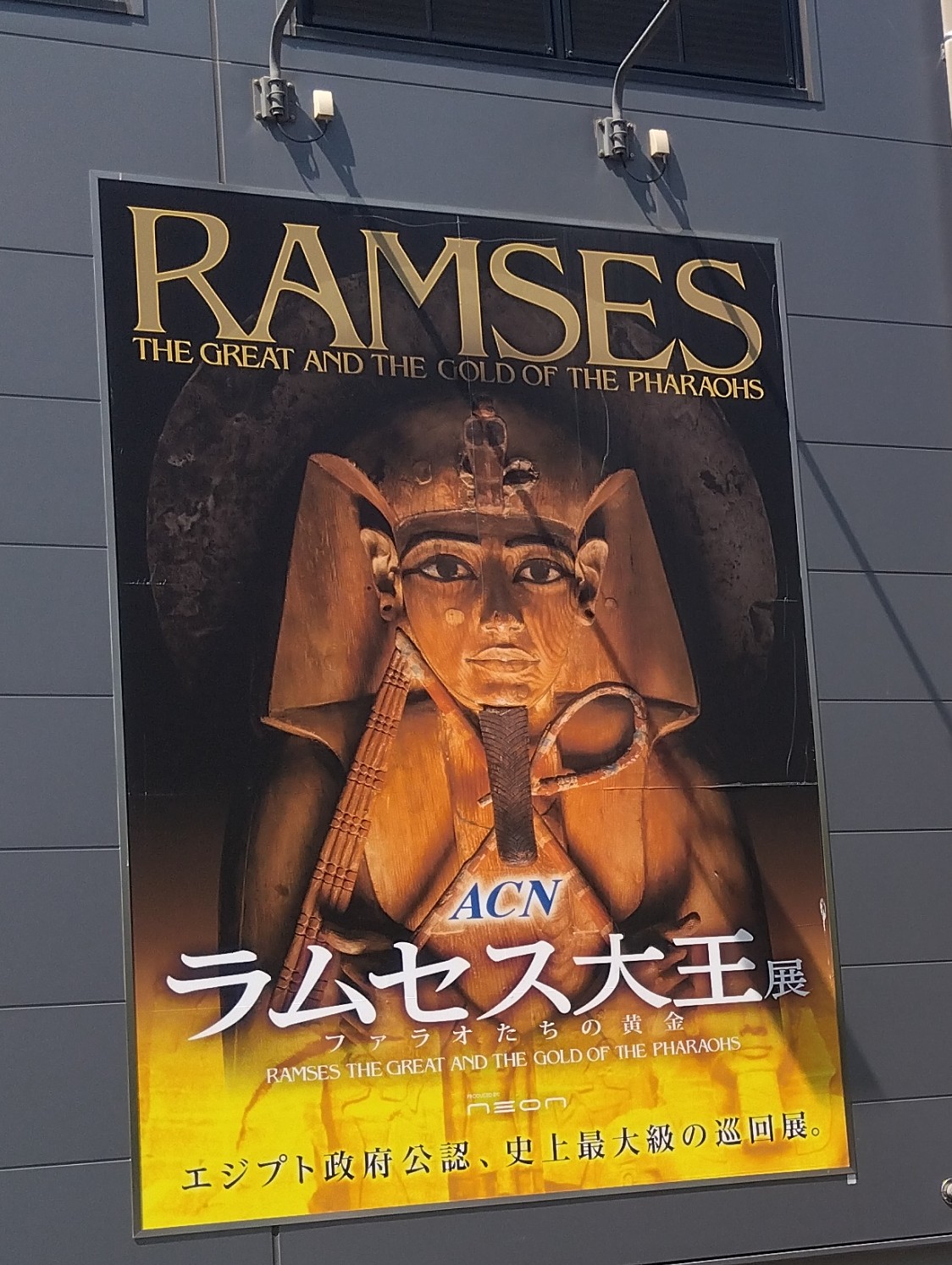 大人気！ラムセス大王展 限定 図録 シュリンク付き 新品未開封　日本語版 ACN ラムセス大王展 ファラオたちの黄金」「学習まんが 世界の