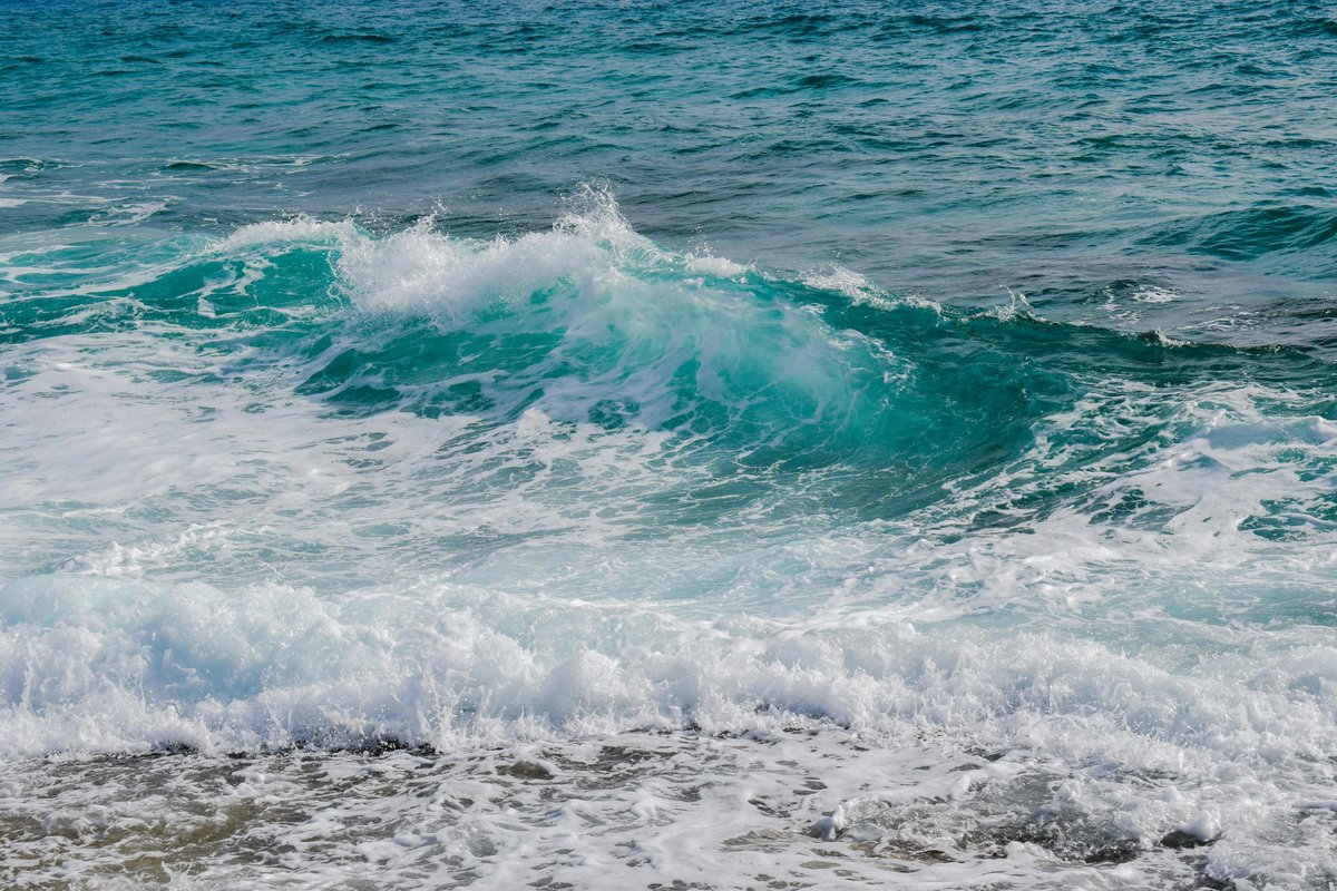 SULCIWORLD's tweet image. GA
π What memories and experiences do different smells in nature, bring up for you?
π¬ Do these experiences influence your creative projects?
#SULCIWORLD #Ocean #Sea #Inspiration #Accessibility #Inclusivity #Community #Sensory #Senses #Neurodivergent #SupportArtists