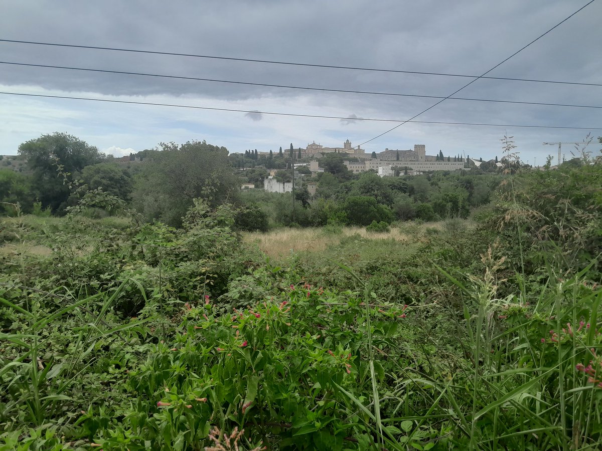 chrisbambery's tweet image. Great walk in the hills west of Tarragona plus swim at the end