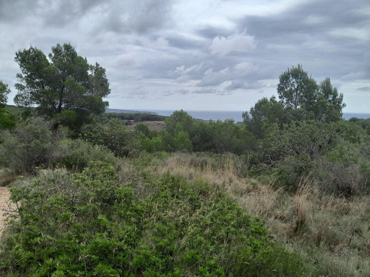 chrisbambery's tweet image. Great walk in the hills west of Tarragona plus swim at the end
