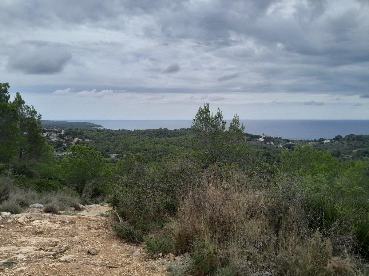 chrisbambery's tweet image. Great walk in the hills west of Tarragona plus swim at the end