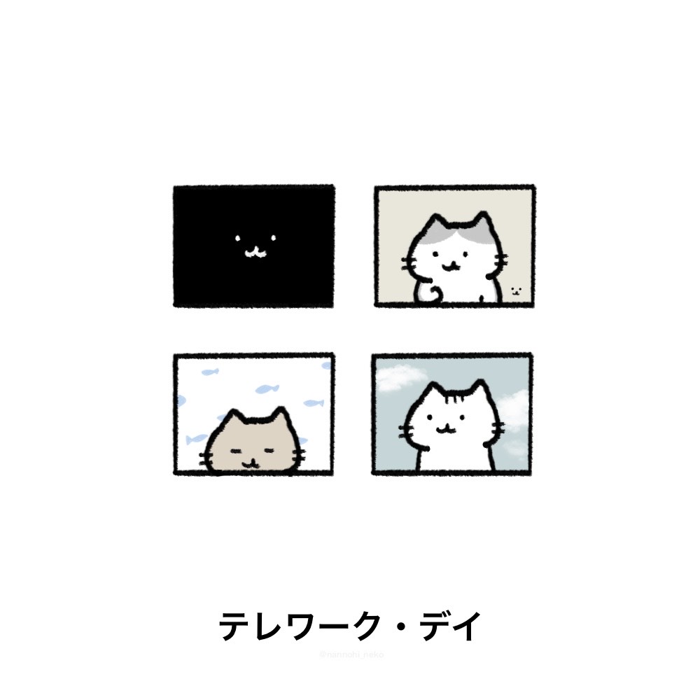 nannohi_neko's tweet image. #今日は何の日 #猫 #ねこ 
#テレワーク・デイ