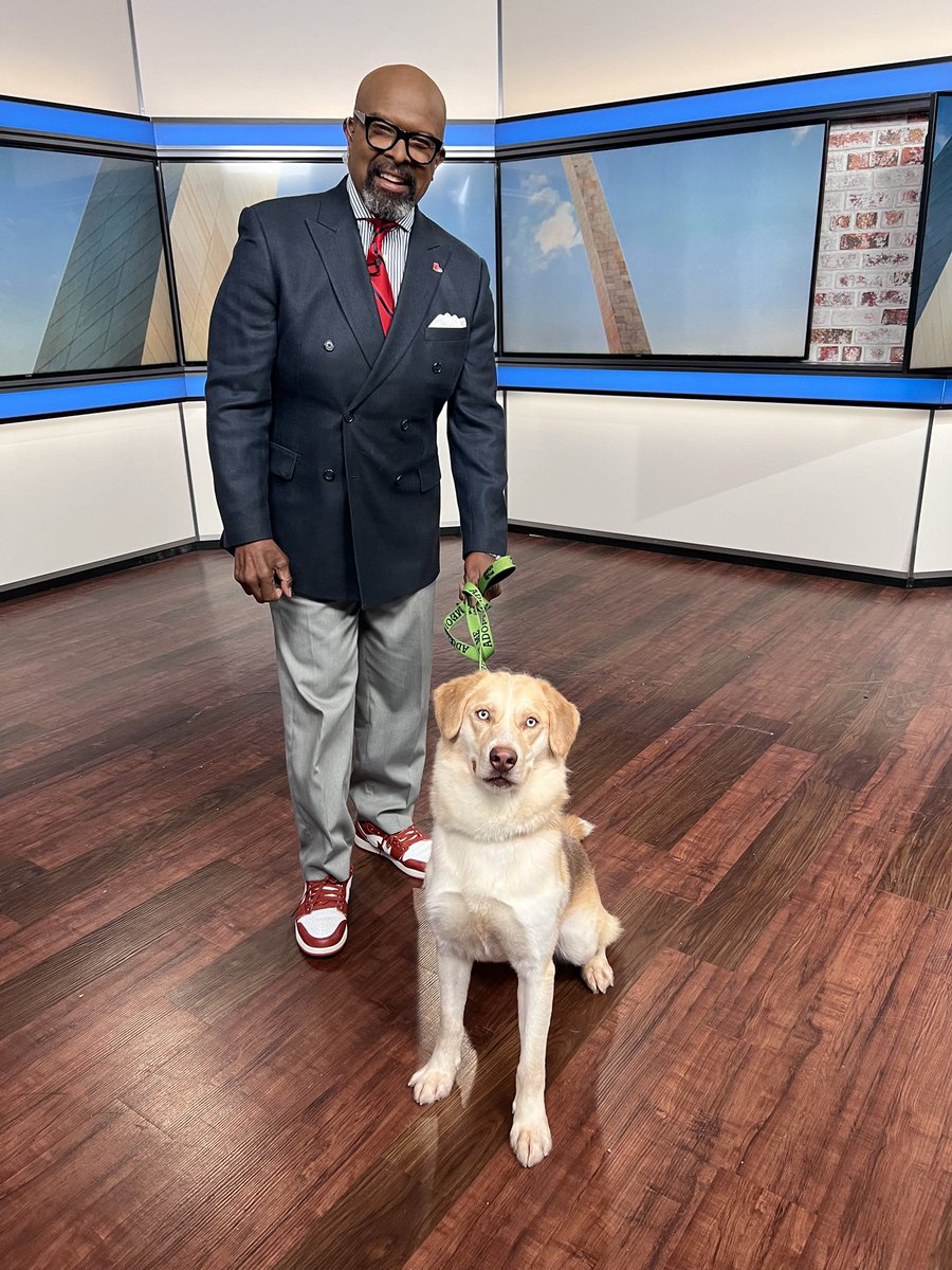 OK seriously! Did you see our <a href="/ksdknews/">KSDK News</a> pet for adoption this morning on #TISL. Eeyore is his name and his eyes are amazing. He’s available right now <a href="/hsmo/">Humane Society of Missouri</a>