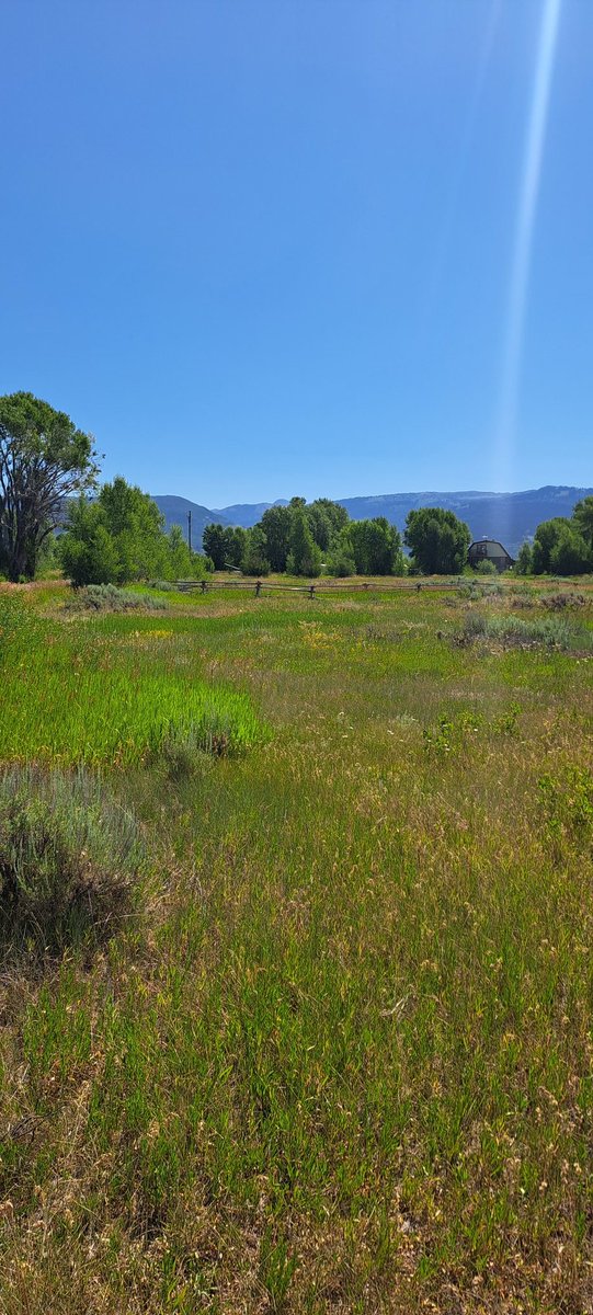 Good morning patriots from the great state of Idaho