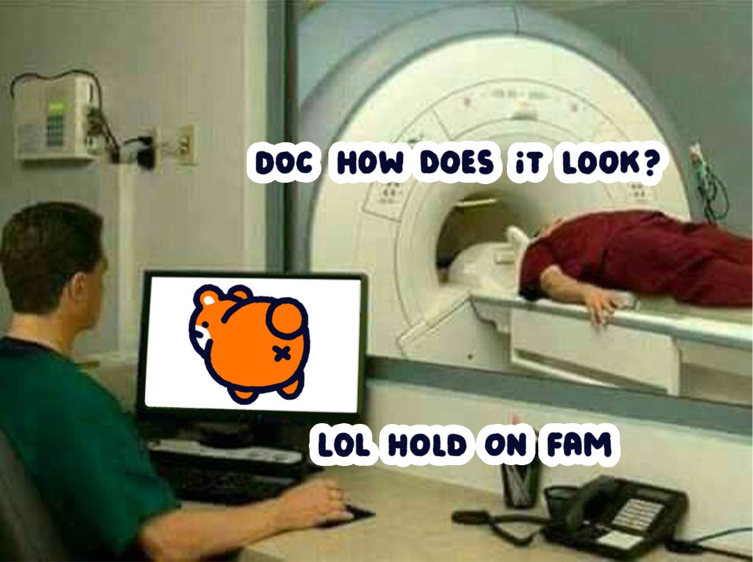 pokithehamster's tweet image. 