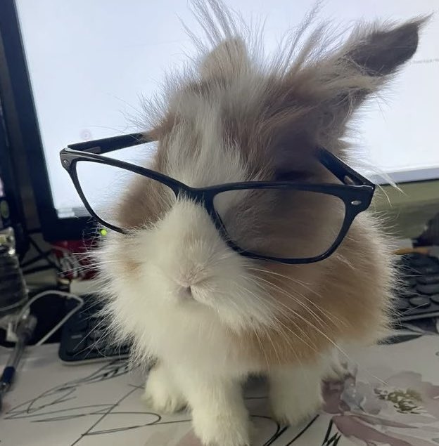 sionisrabbit's tweet image. 