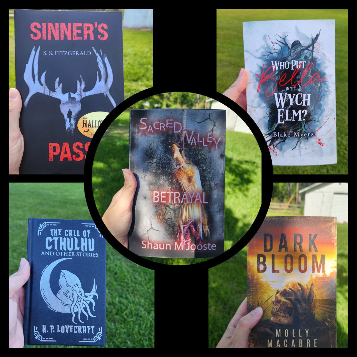 MoiraAshe93's tweet image. Currently reading:
Sacred Valley: Betrayal @ShaunMJooste
TBR:
Sinner's Pass @S_S_Fitzgerald
Who Put Bella in the Wych Elm? @BellaHagleyWood
Dark Bloom @Molly_Macabre_
The Call of Cthulhu H.P. Lovecraft