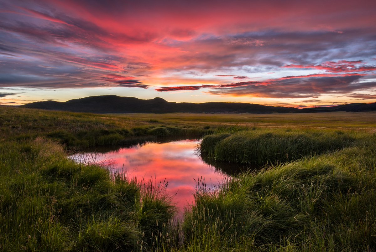 Interior's tweet image. About 1.25 million years ago, a massive eruption formed the 14-mile-wide Valles Caldera.
At sunset, New Mexico’s Valles Caldera National Preserve still glows with echoes of its fiery volcanic past.
Photo by Andrew Gordon