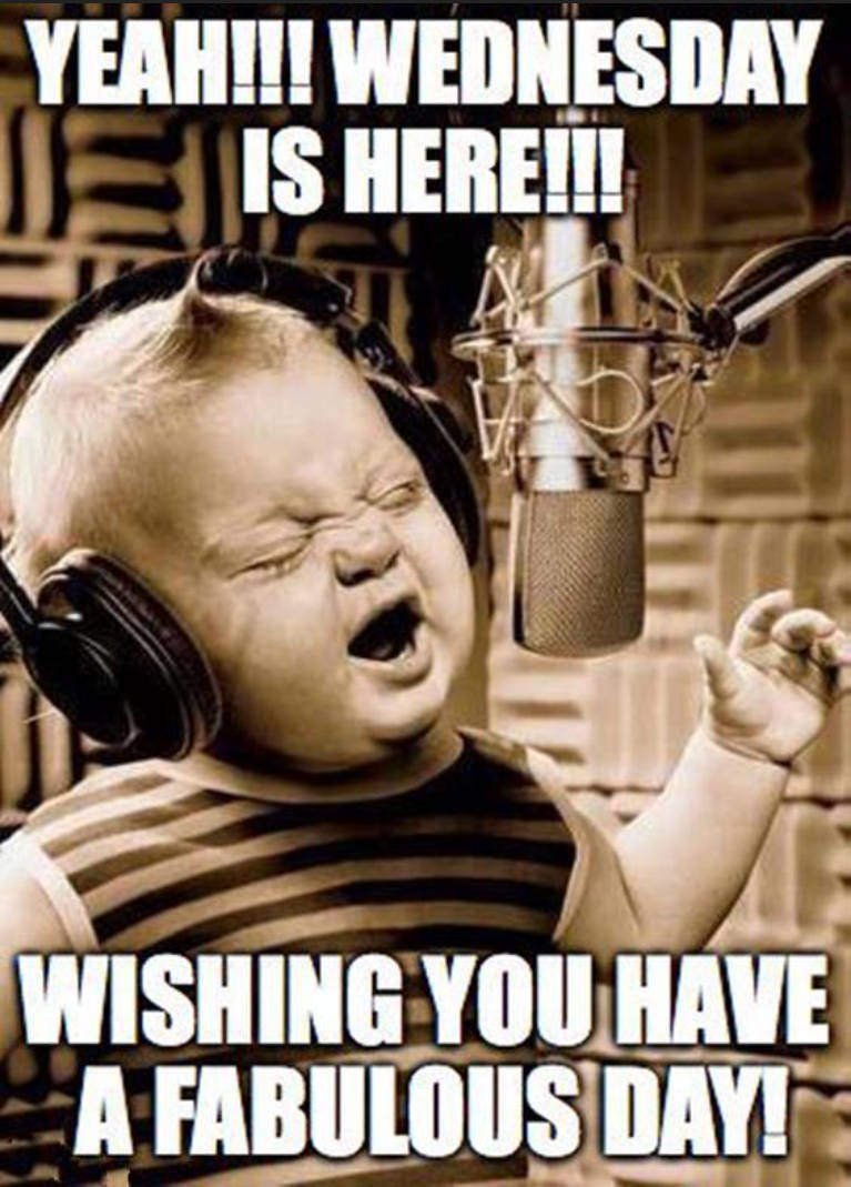 andyatc51's tweet image. Apparently RSVPing back to a wedding invite "Maybe next time" is not the correct response.
Happy hump day my friends! I hope you all have a wonderful day full of fun and nonsense! If it doesn't come to you...go get it.