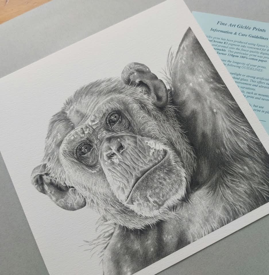 srh_sue's tweet image. Hard to believe I completed this drawing over a year ago now.
'Spellbound' Pencil on paper.
馃摲 Edwin Butter via wildlife reference photos.
#drawing #art
