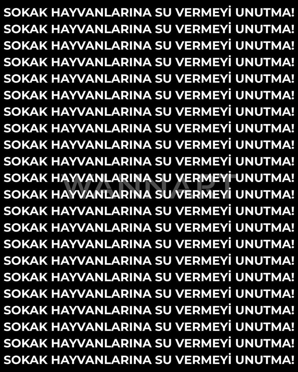 SepyaZeytin's tweet image. Katliam yasasına, kötü insanlara rağmen biz patili dostlarımızı yaşatacağız, iyiliği büyüteceğiz. #SokakHayvanlarıSahipsizDeğil