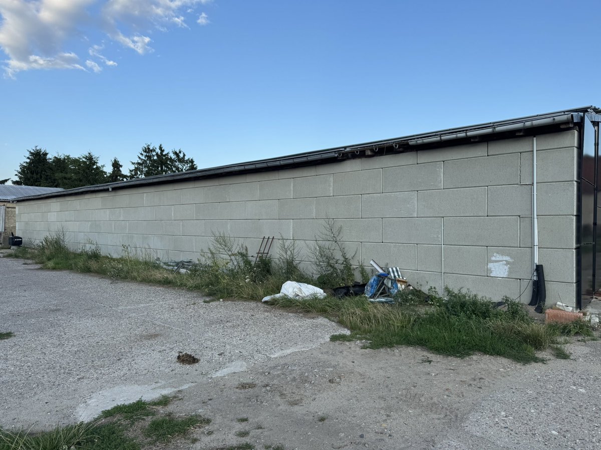 🟧 Plebs aufgepasst!
Ich suche Leute aus dem #Bitcoin Space, die sich mit Graffiti auskennen oder einfach Bock haben, sich zu verewigen.