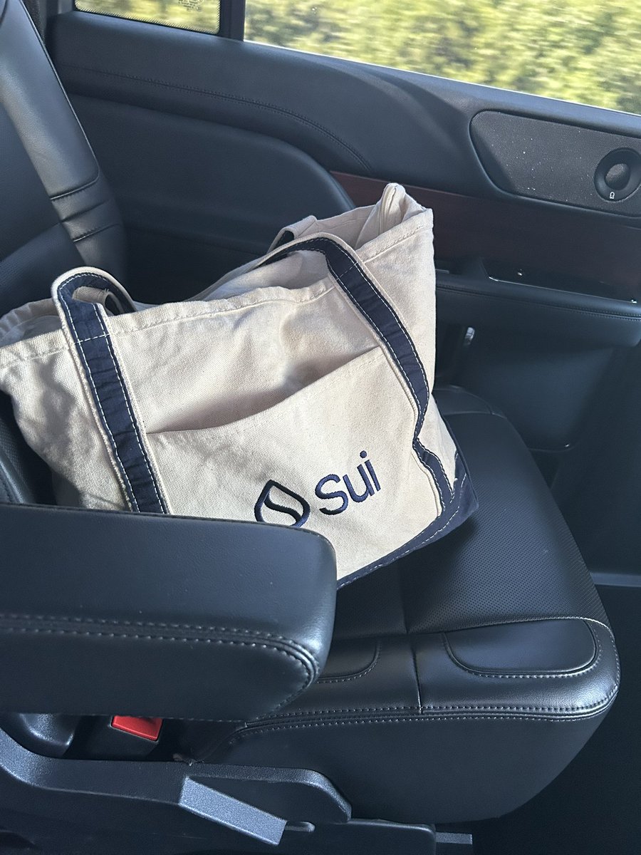 unceenc's tweet image. me and my sui bags headed to 🇻🇳🇹🇭