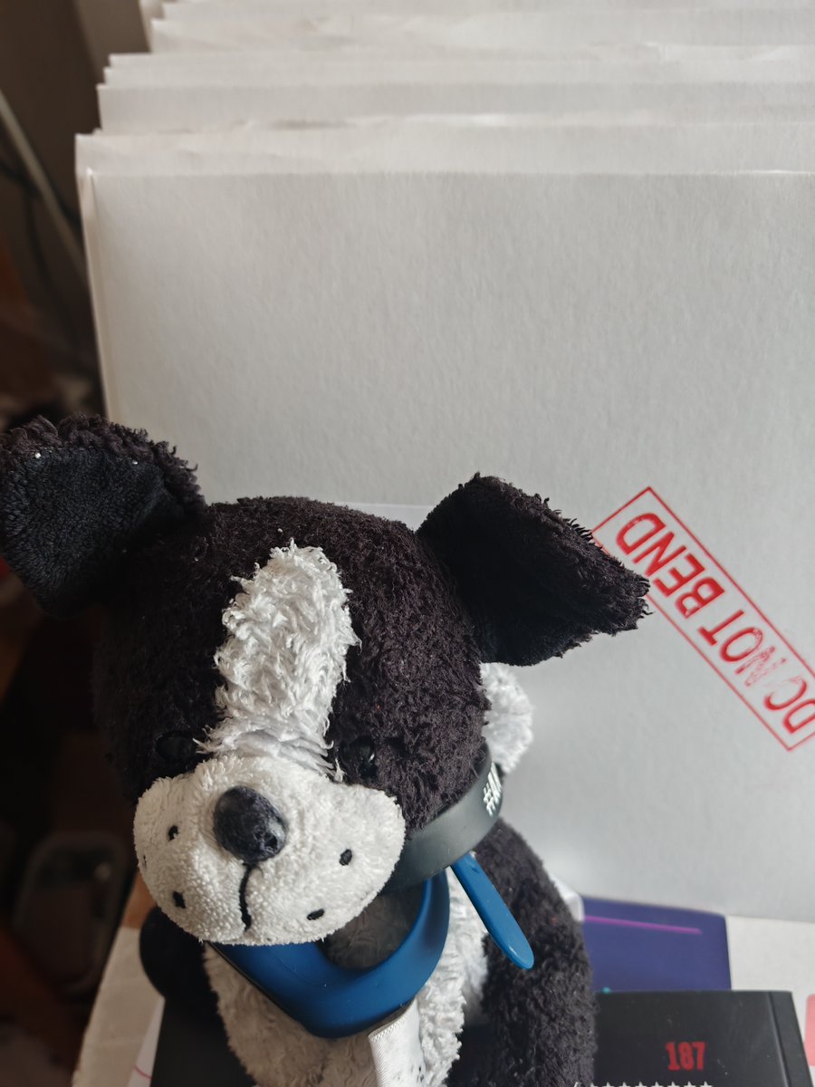 The first shipments of our new ep featuring Lacross Club, Rainyday Rainbow, Horse Party &amp; Baby Schillaci are now on their way to the door mats of the world. In the shops from Friday - beat the rush by buying from Bandcamp. Pippin the dog on GDPR duty.
repeatfanzine.bandcamp.com/album/too-flex…