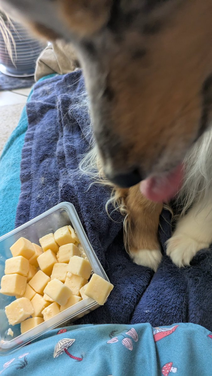 Kshallriseagain's tweet image. Cheese tax