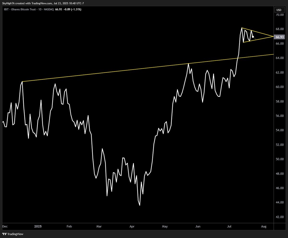 SuperBitcoinBro's tweet image. tradfi $BTC aka $IBIT could not look better right now

pennant at the highs favors continuation