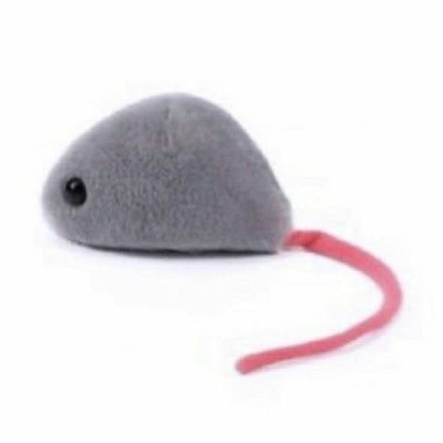 blurrybigcut's tweet image. this is me btw if u even care