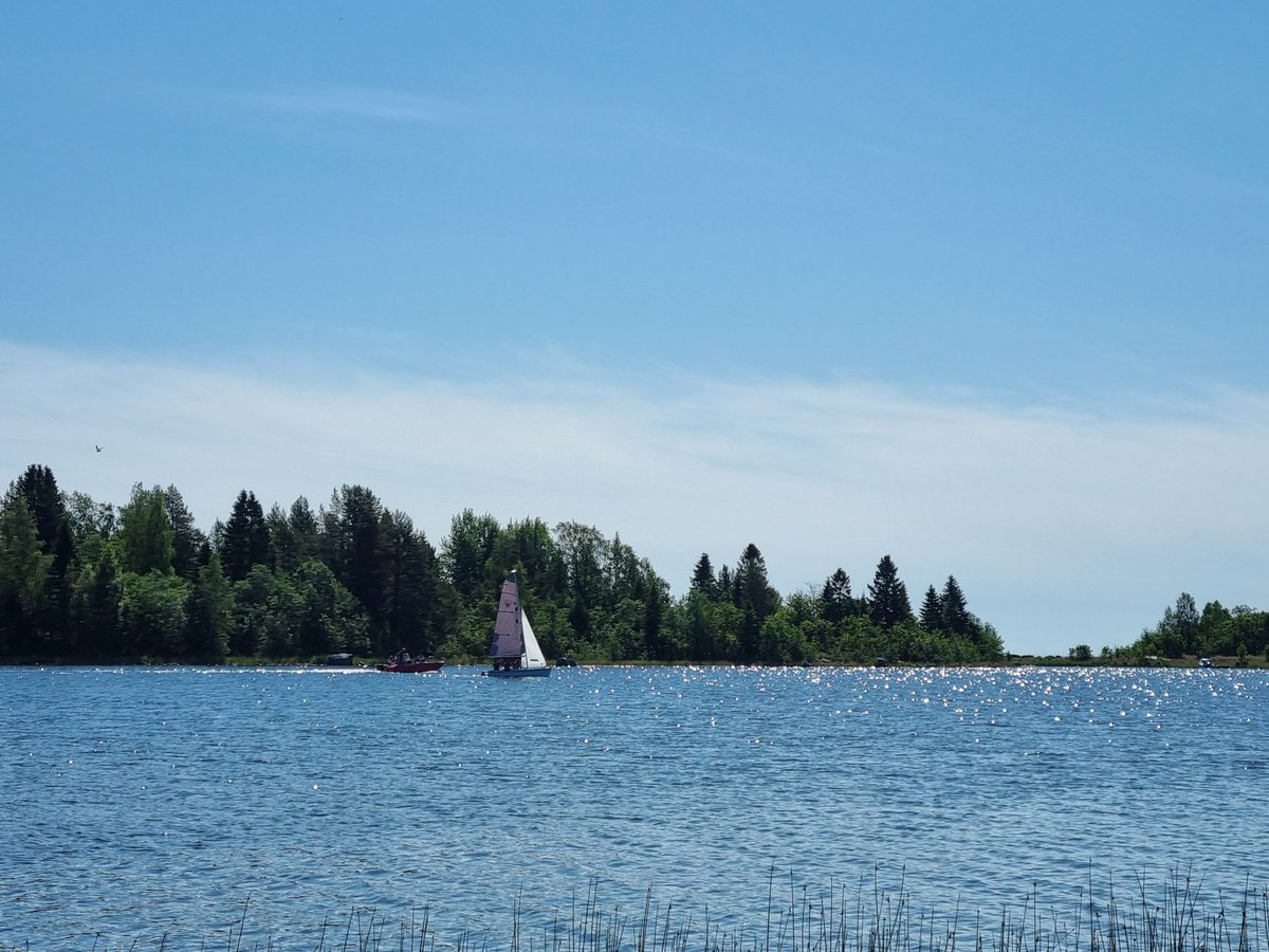 ABBE THE CAT tweet media