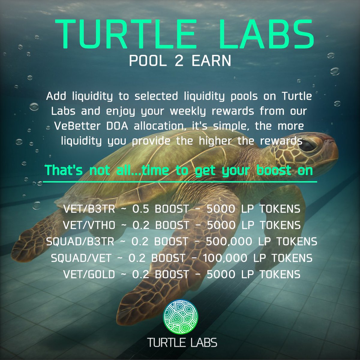 kranaking's tweet image. Yo @Bubbles2Earn Community
Hope your staying hydrated.
Don’t forget about all the wonderful products from @TurtleLabsV
Bubbly Bottles #minting now for 2000 $VET
Comes with a physical water bottle and an #NFT for a 3x multiplier to your Bubbles rewards. 5x if you mint 4