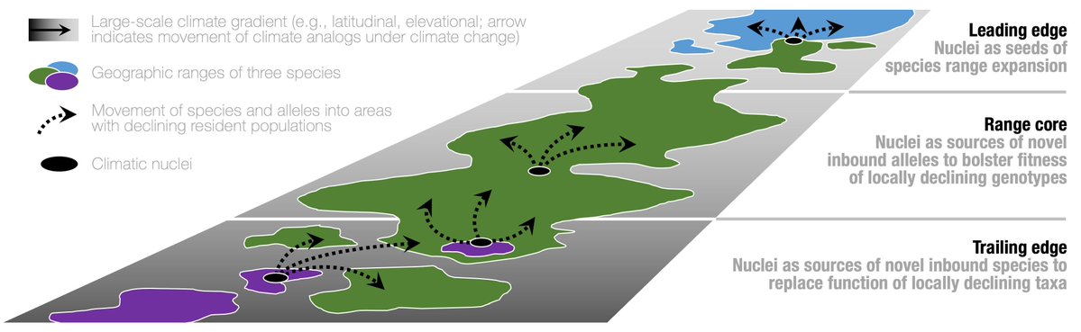 GlobalChangeBio's tweet image. Sustaining Species of the Future: Climatic Nuclei for Climate Change Adaptation 

🔗 buff.ly/tLeIa86