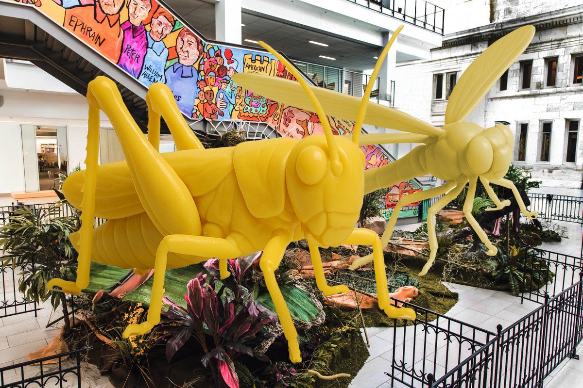columbuslibrary's tweet image. Hey @OhioStateFair, please come get your Giant Bugs Made of Butter. They're starting to melt