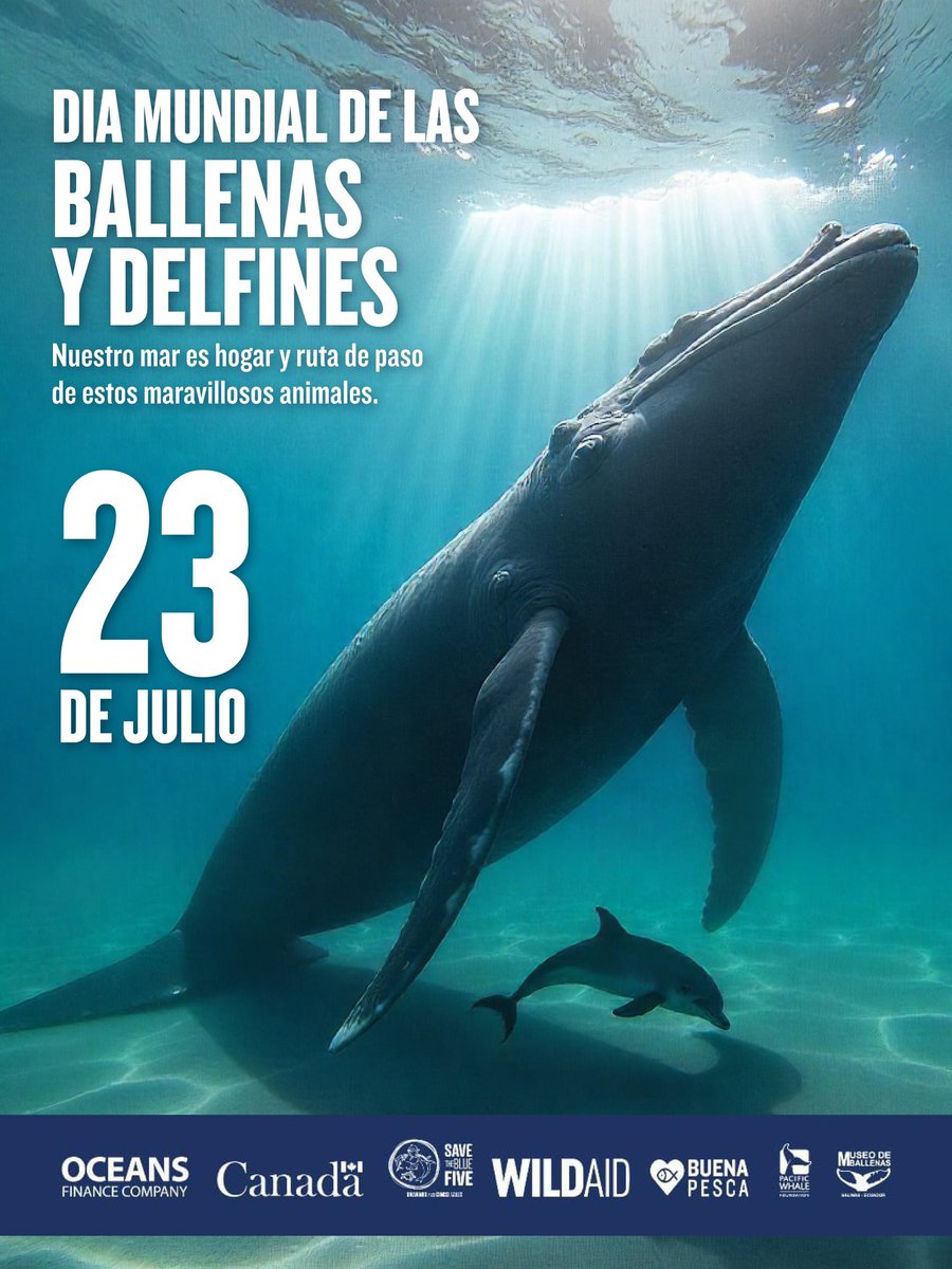 2️⃣3️⃣ de julio| Día Mundial de la Ballenas y Delfines 🐳🐬

La conservación de estas especies es clave para mantener el equilibrio del ecosistema marino 🌊

#JuntosProtegemos
#BuenaPesca
#ProtecciónMarina