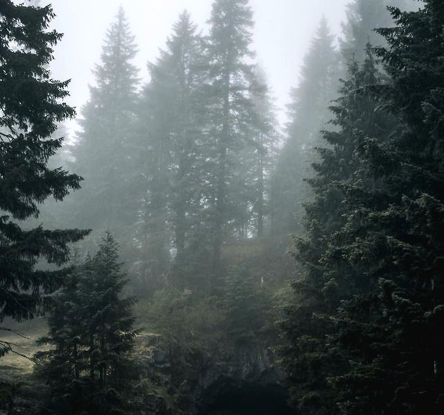 𝕰𝖑𝖊𝖒𝖒𝖎𝖗𝖊 tweet media