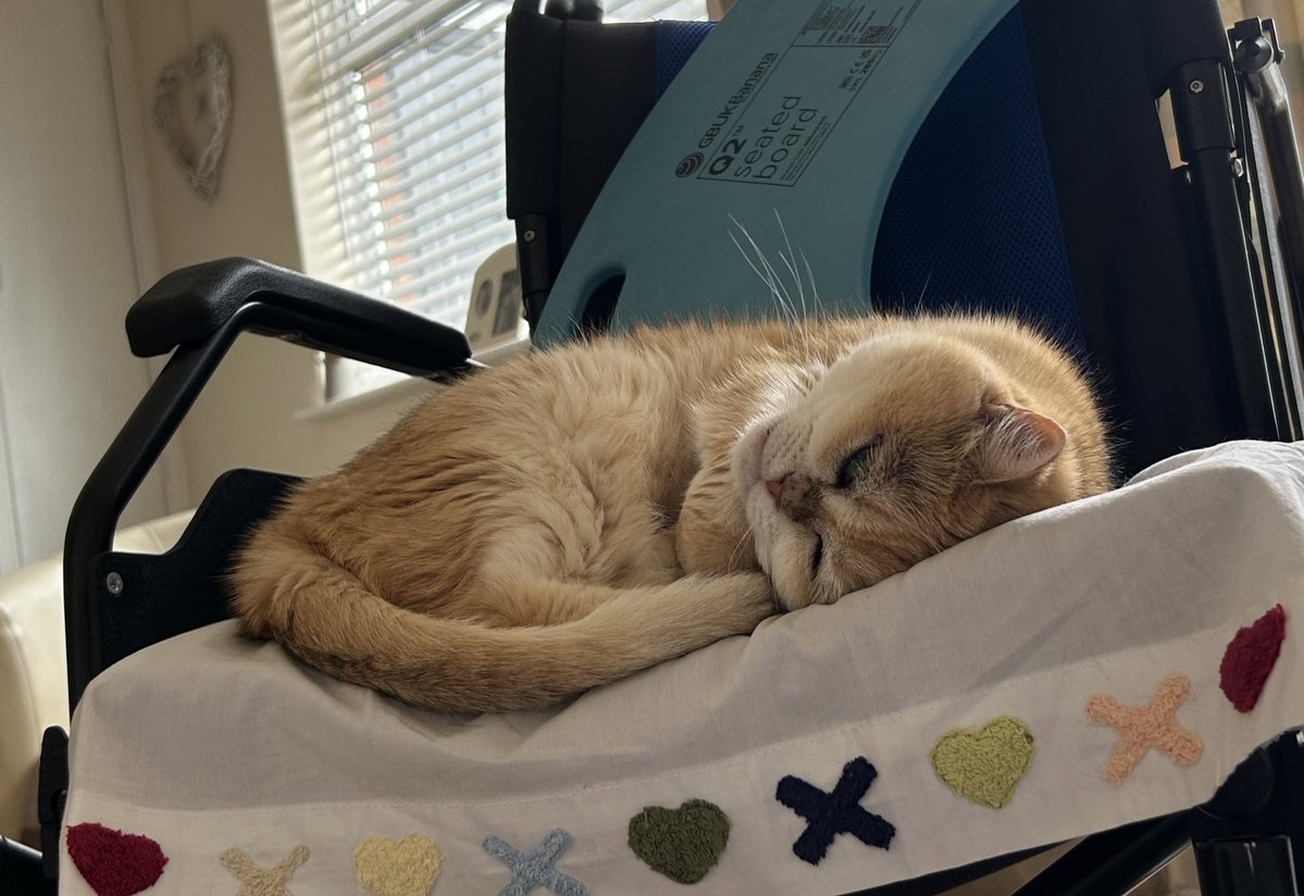 mimybug's tweet image. ok so basically she’s baby